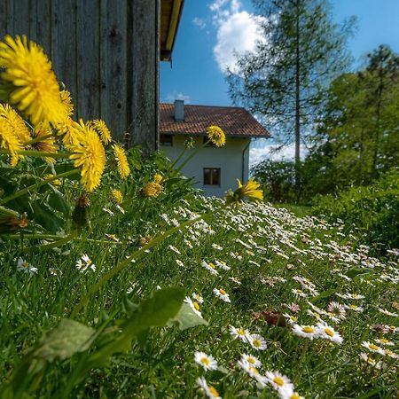 Ferienhaus Schlierachtal ميسباش المظهر الخارجي الصورة