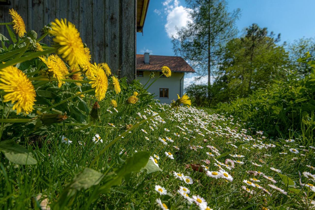 Ferienhaus Schlierachtal ميسباش المظهر الخارجي الصورة